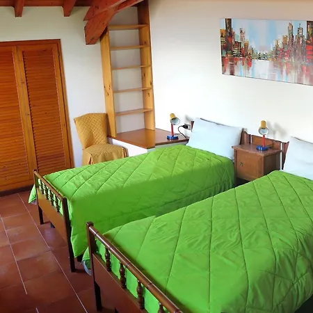 Thommy ストレーザ